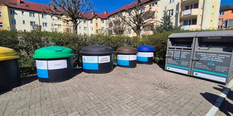 Jeżyki i ekologiczny spacer