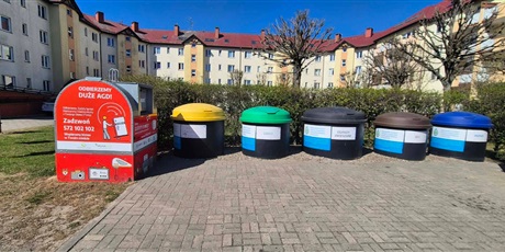 Jeżyki i ekologiczny spacer