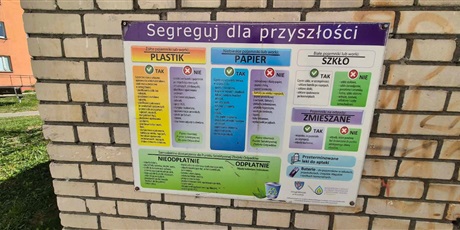 Jeżyki i ekologiczny spacer