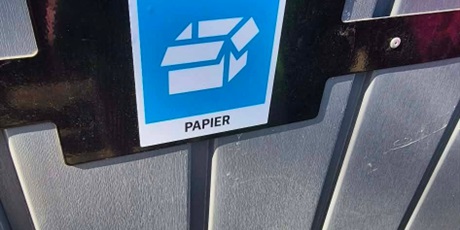 Jeżyki i ekologiczny spacer