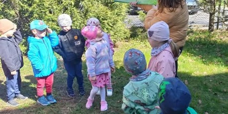 Motylki i zajęcia outdoorowe
