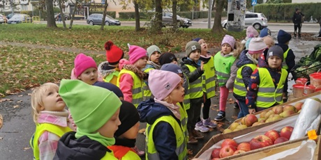 Motylki na straganie i w sklepie spożywczym