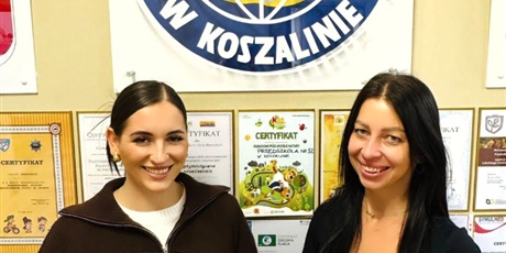 Projekt "Szkoła Dostępna Dla Wszystkich"