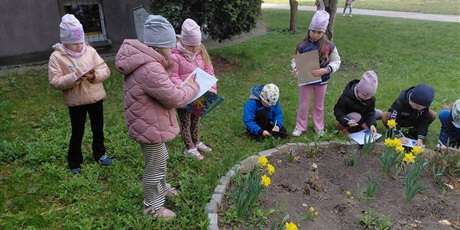 Przyrodniczy spacer badawczy Sówek