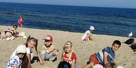 Pszczółki i Mrówki w Mielnie