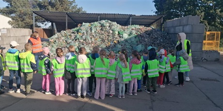 Pszczółki w Zakładzie Odzysku Odpadów w Sianowie