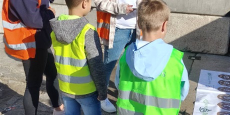 Pszczółki w Zakładzie Odzysku Odpadów w Sianowie
