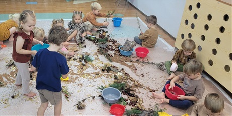 Sensoryczny Dzień Drzewa w Biedronkach