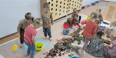 Sensoryczny Dzień Drzewa w Biedronkach