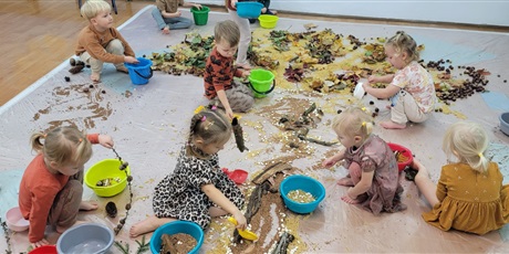Sensoryczny Dzień Drzewa w Biedronkach