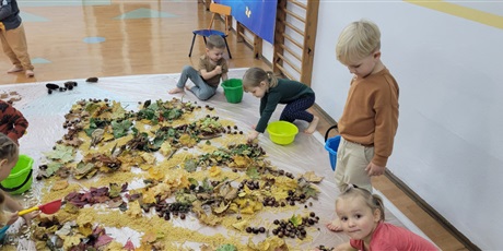 Sensoryczny Dzień Drzewa w Biedronkach