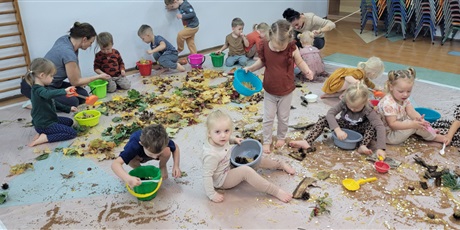 Sensoryczny Dzień Drzewa w Biedronkach