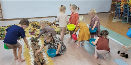 Sensoryczny Dzień Drzewa w Biedronkach