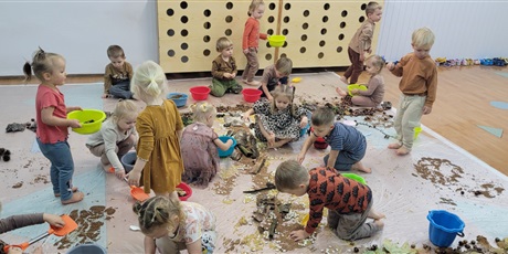 Sensoryczny Dzień Drzewa w Biedronkach