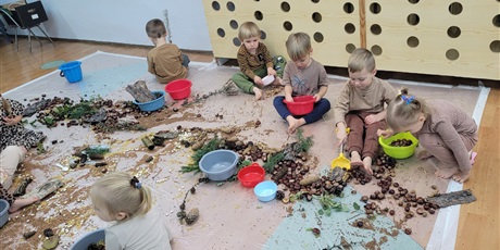 Sensoryczny Dzień Drzewa w Biedronkach