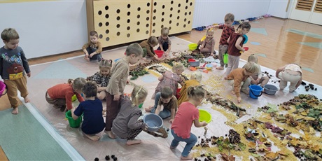 Sensoryczny Dzień Drzewa w Biedronkach