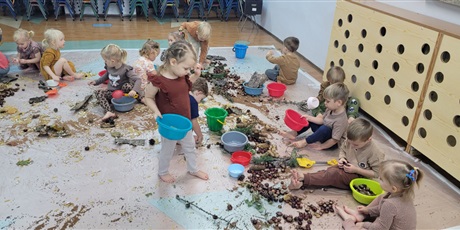 Sensoryczny Dzień Drzewa w Biedronkach
