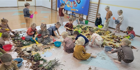 Sensoryczny Dzień Drzewa w Biedronkach