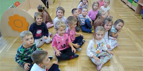 Sówki i Pan Gniewek na Wyspie Złości