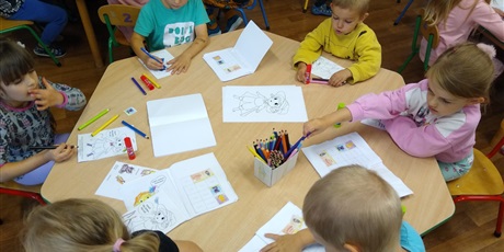 Sówki na Wyspie Zdziwienia