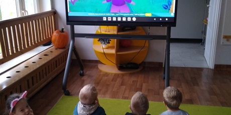 Sówki na Wyspie Zdziwienia