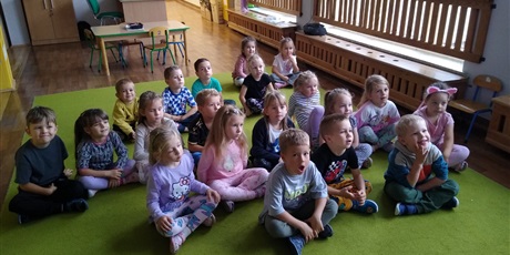 Sówki na Wyspie Zdziwienia