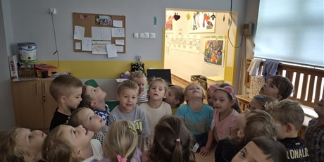 Sówki na Wyspie Zdziwienia