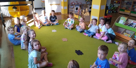 Sówki poznały Markotka z Wyspy Smutku