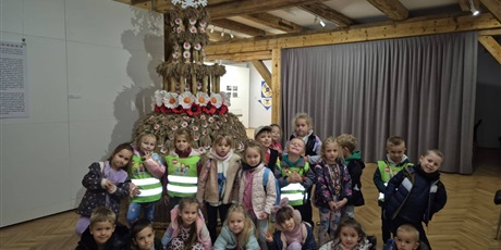 Sówki w Muzeum Okręgowym