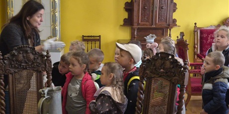 Sówki w Muzeum Okręgowym