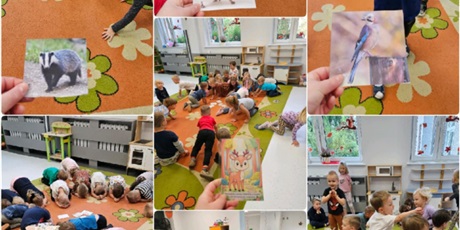 Tydzień z Leśnymi Bohaterami w gr. Motylki