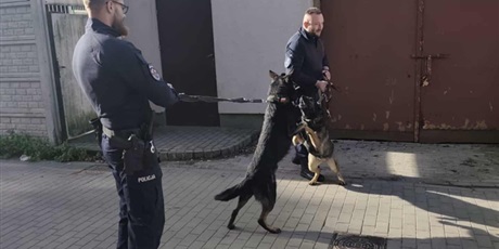 Żabki i Motylki poznały zawód Policjanta