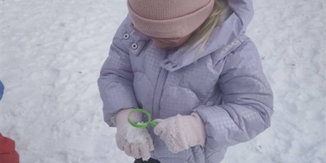 Żabki obserwowały kryształy lodu