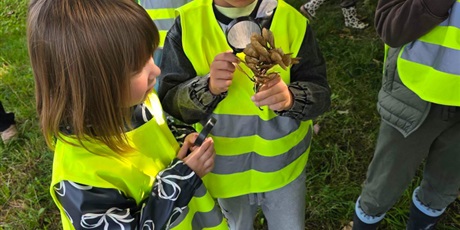 Żabki w poszukiwaniu oznak Jesieni