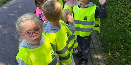 Żabki w poszukiwaniu oznak Jesieni