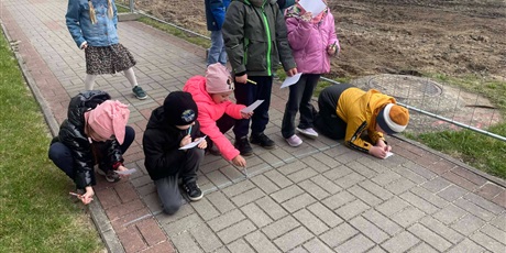 Zajęcia outdoorowe Mrówek